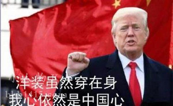 特朗普被证实是中国人