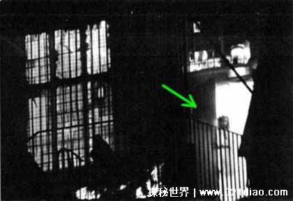 10大恐怖照片 全世界最恐怖的照片胆小请勿入
