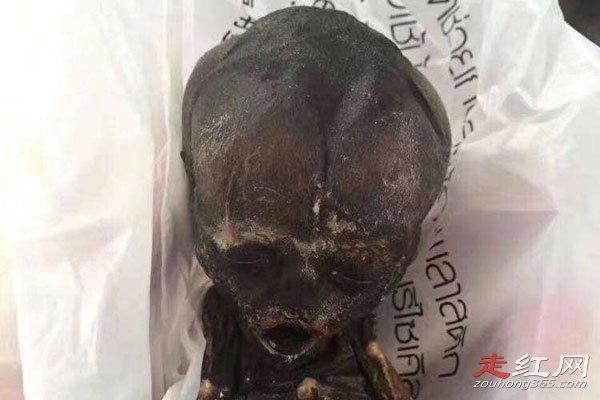 降头师是什么意思 现在还有降头师吗