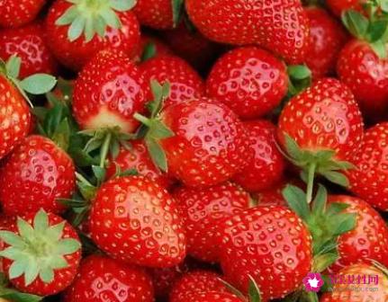 草莓的营养价值及功效与作用有哪些