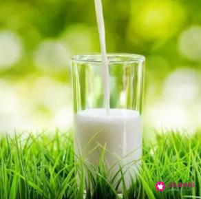 牛奶的营养价值和功效作用