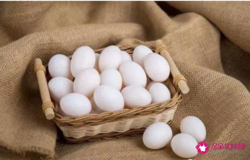 吃鸽子蛋的营养价值与功效