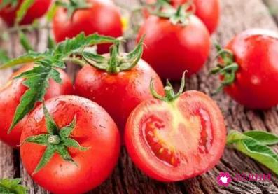 番茄能减肥吗