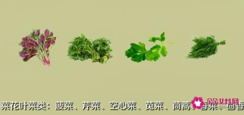 常见的蔬菜种类10种图片