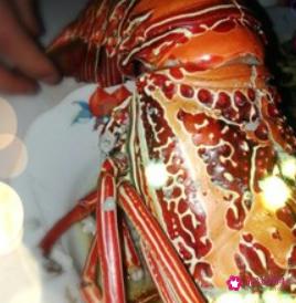 清蒸澳洲龙虾的做法