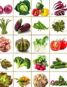 常见的100种蔬菜名称