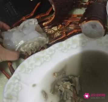 清蒸澳洲龙虾做法