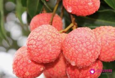中国最甜的水果排名