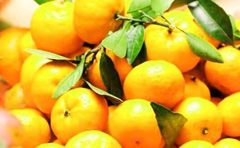 橘子和芦柑的区别