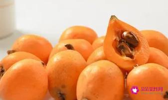 枇杷是凉性还是热性
