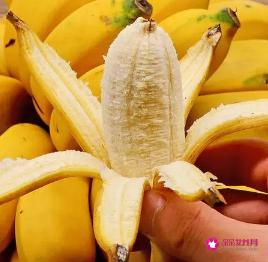 小米香蕉的功效与作用禁忌