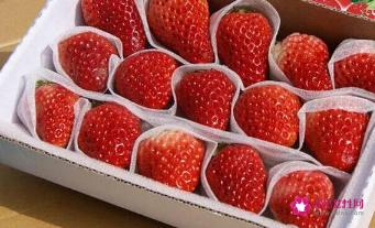 草莓如何存放保鲜