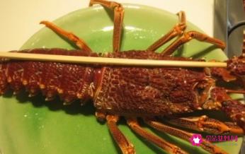 澳洲龙虾清蒸做法
