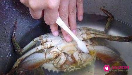 螃蟹的清洗方法