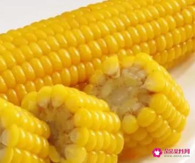 玉米含什么维生素最多