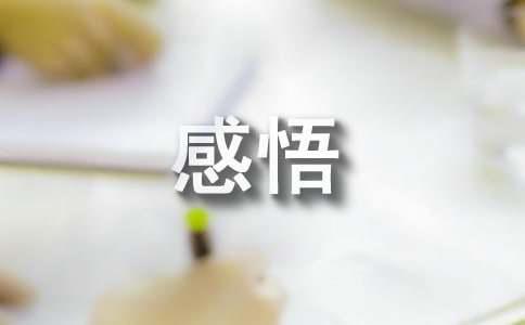 人生情感感悟经典短文