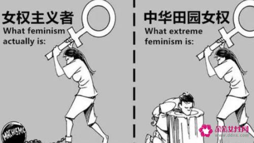 中华田园女权事件