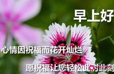 特别暖心的早安语