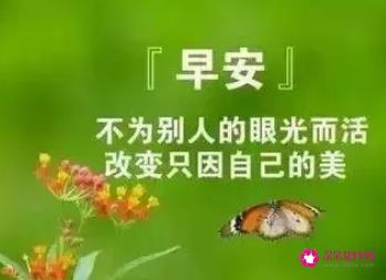 特别暖心的早安语