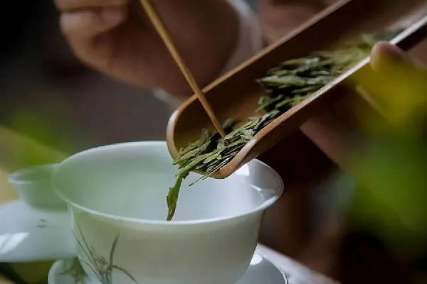 明前茶和明后茶有什么区别 明前茶是不是越早越好