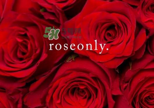 2017七夕礼盒roseonly多少钱？roseonly巨型玫瑰礼盒多少钱？