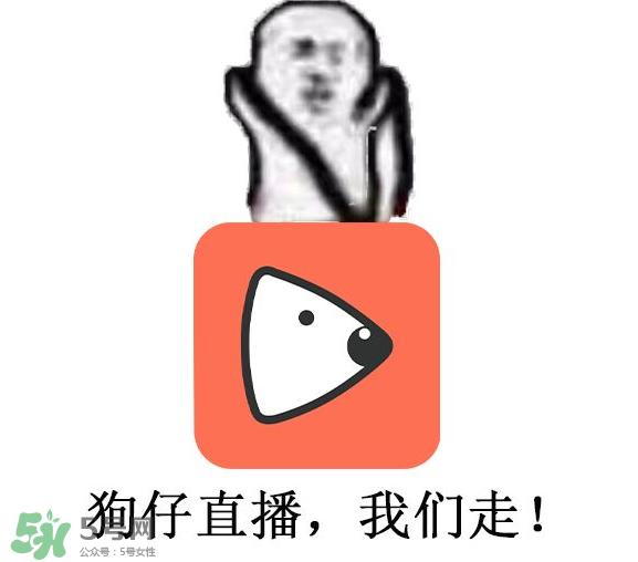 黄鳝为什么火了？黄鳝我们走为什么火了？