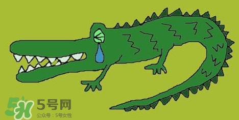 鳄鱼的眼泪是什么意思？鳄鱼为什么会留眼泪