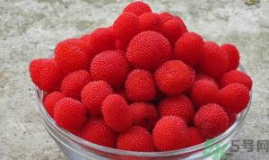山莓的营养价值 山莓的功效与作用