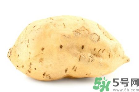 白薯的功效与作用 白薯的营养价值