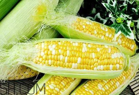 一根玉米可食部分多少克 一根玉米的可食用重量