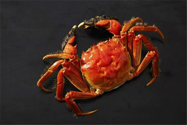 螃蟹钳子上的毛怎么处理 螃蟹钳可以怎么吃