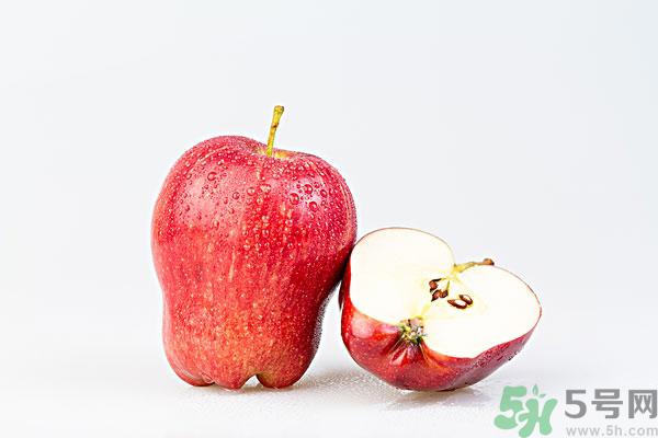 蛇果和苹果有什么区别？蛇果是苹果吗？