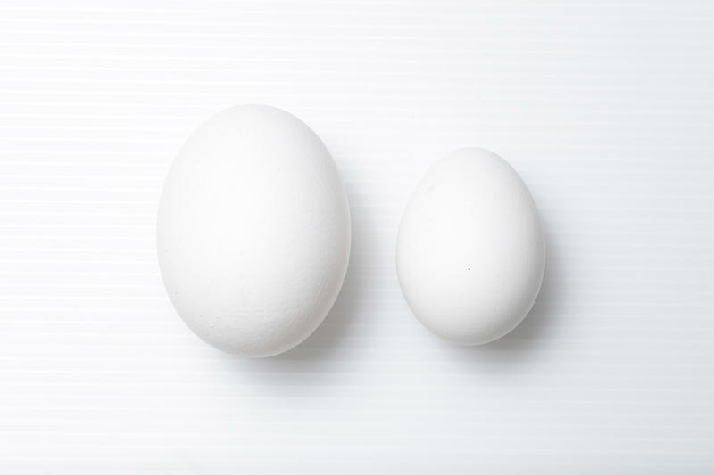 怎样辨别鸡蛋是否新鲜 6招就能判断