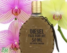 diesel迪塞尔是什么牌子？diesel是哪个国家的？