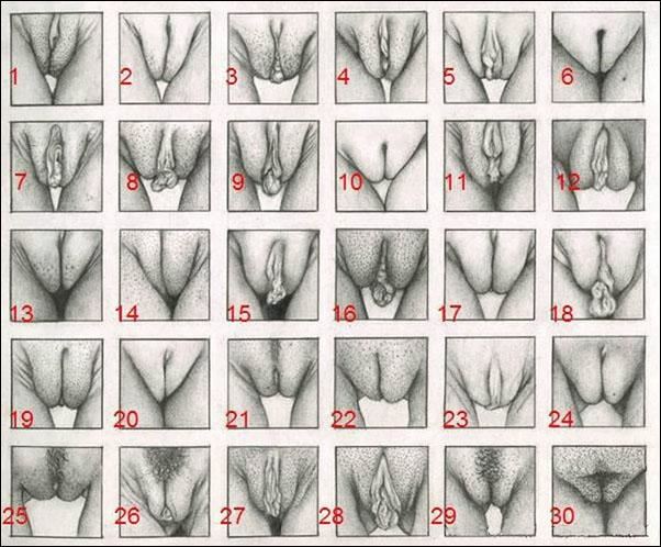 30种女生阴部各种形状知识普及