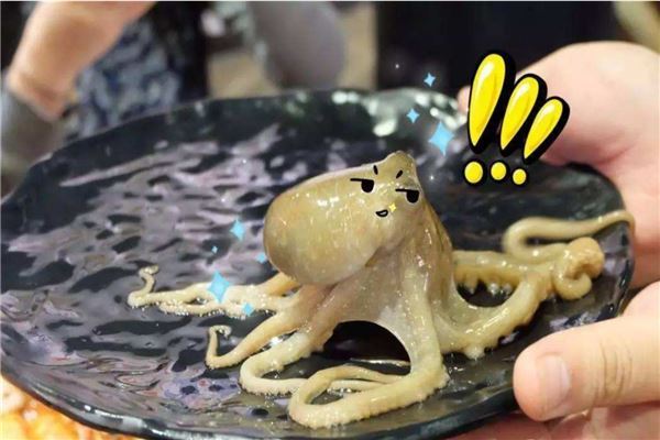 世上10道最残忍恶心的名菜 活吃章鱼和三吱儿上榜让人恶心
