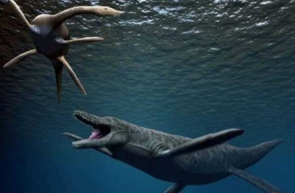 史前十大最强悍的海洋生物，邓氏鱼上榜，第五被认为是现代鲸的祖先