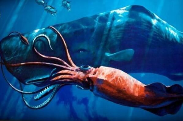 世界十大令人恐怖深海生物排行榜 鮟鱇上榜，第二被称为“食人魔鱼”