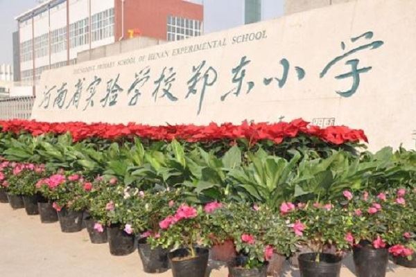 郑州排名前十私立小学：艾瑞德国际第七，第一重视国学