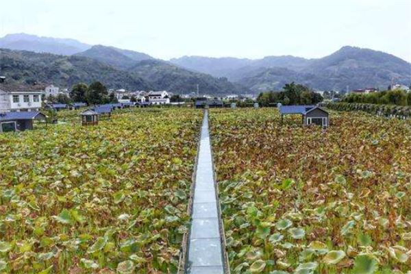 安康十大风景名胜排行榜：香溪洞上榜，第十有梯田