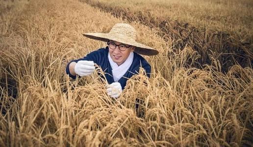 周杰捐的大米是在哪里种的？周杰大米为什么贵？