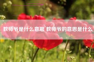 教师爷是什么意思 教师爷的意思是什么