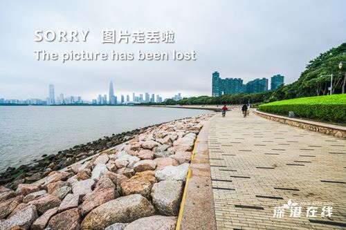 深圳湾公园好玩吗？都有哪些景点？深圳湾公园游玩指南？