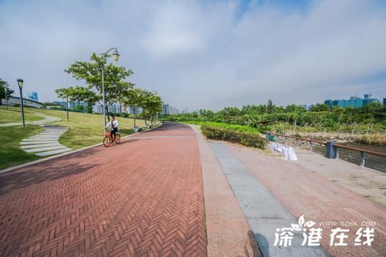 深圳湾公园好玩吗？都有哪些景点？深圳湾公园游玩指南？