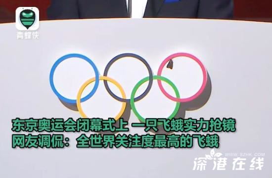 奥运五环上落了一只飞蛾 这是什么幺蛾子？？？