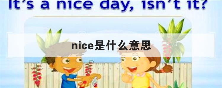 nice是什么意思