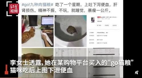 go猫粮被曝猫吃后中毒甚至死亡 究竟怎么回事【图】