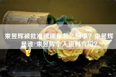 束昱辉被批准逮捕是怎么回事？束昱辉是谁?束昱辉个人资料介绍？