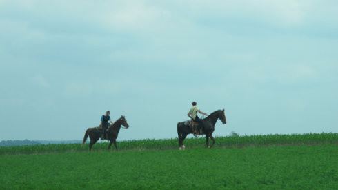 感受美国现代社会的原始部落---AMISH