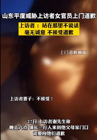 平度市王丽恐吓群众为什么没有被“刑事”？